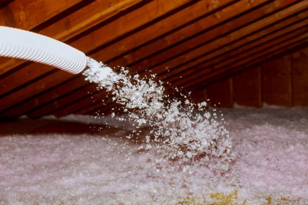Best Insulation Repair Services  in Wendell, NC
