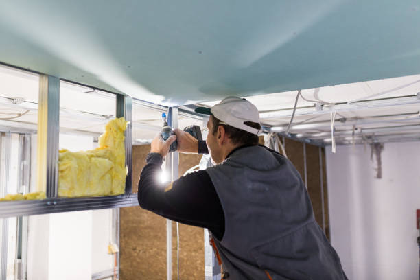 Best Garage Insulation Installation  in Wendell, NC