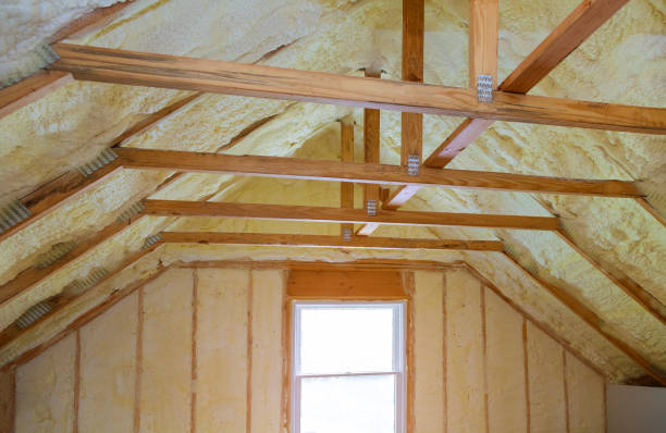Best Spray Foam Insulation  in Wendell, NC