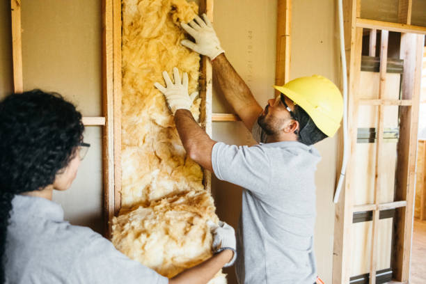 Best Insulation Inspection Services  in Wendell, NC