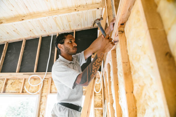 Best Insulation Removal  in Wendell, NC