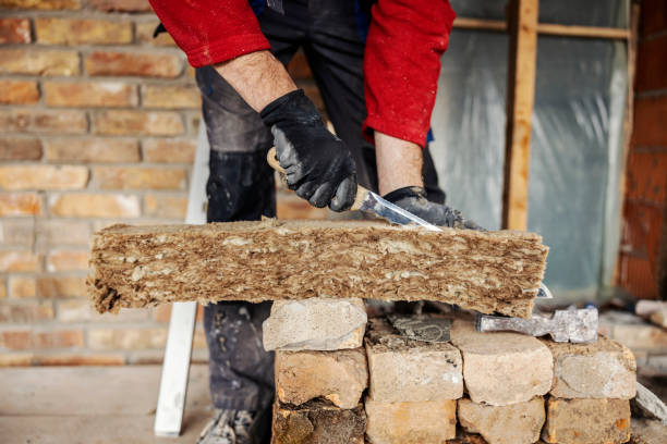 Best Insulation Contractors for Homes  in Wendell, NC