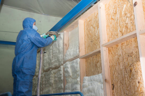 Best Affordable Insulation Services  in Wendell, NC
