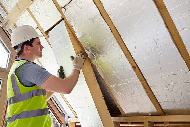 Best Professional Insulation Contractor  in Wendell, NC