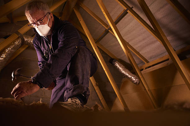 Best Energy-efficient Insulation  in Wendell, NC